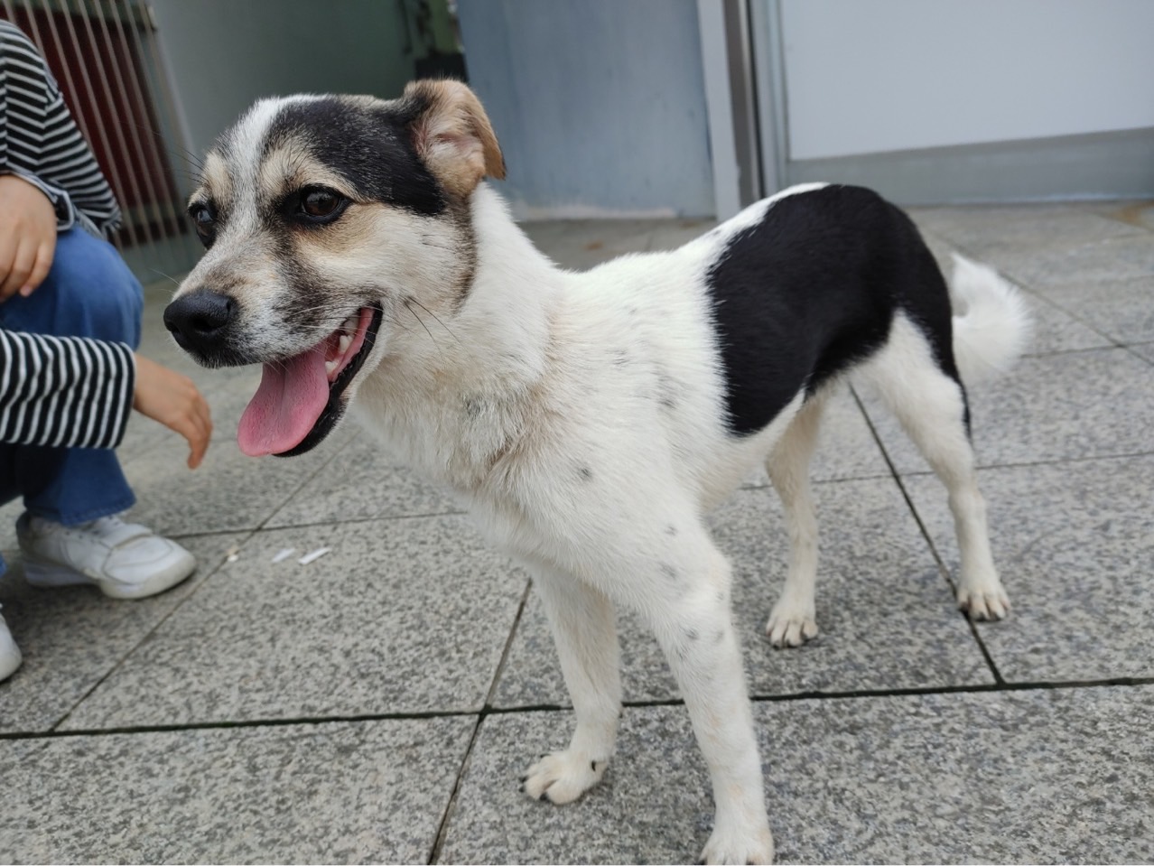 영주시 동물보호센터_447509202300145